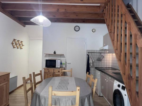 Bel appartement duplex à Cauterets avec vue et casier à ski - FR-1-812-54